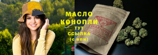 твердый Володарск