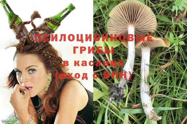 индика Волоколамск