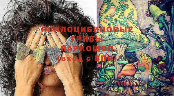 прущие грибы Гусев