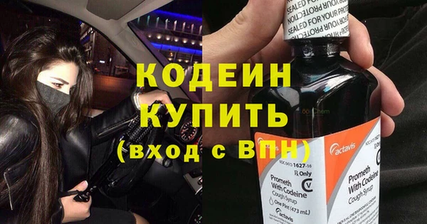 прущие грибы Гусев